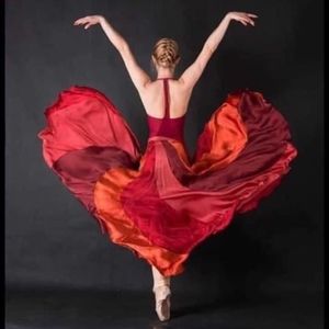 Meet your Posher, Ana